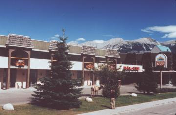 Maligne